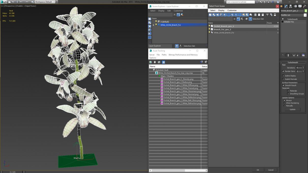 3D White Orchid Branch Fur model