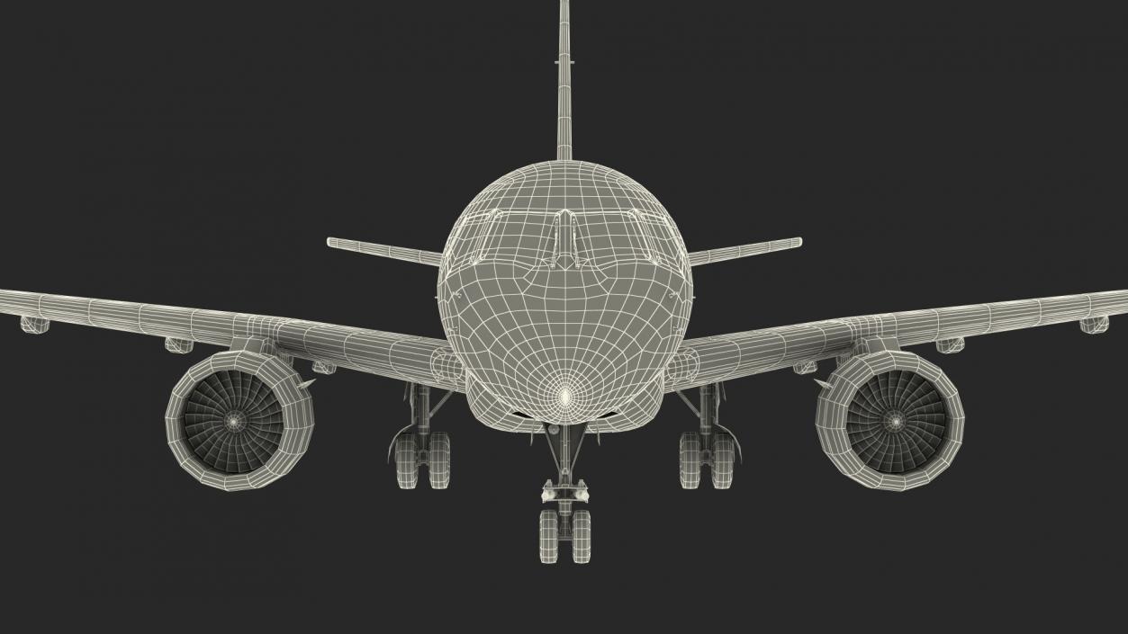 Jet Airliner Rigged 3D model