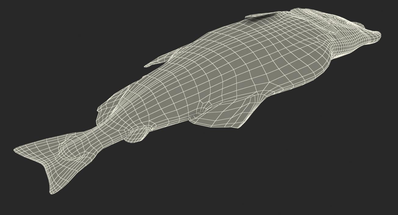 3D model Pink Salmon Lying on the Floor