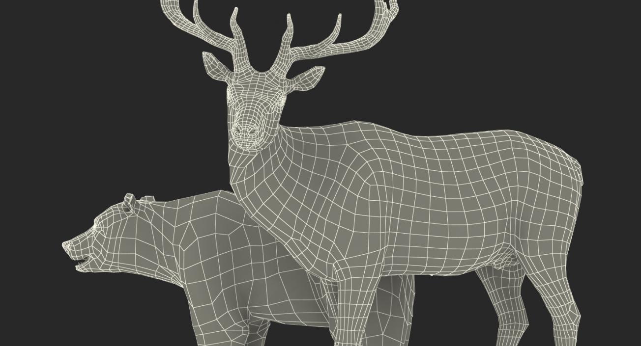 3D Bear and Elk Collection model