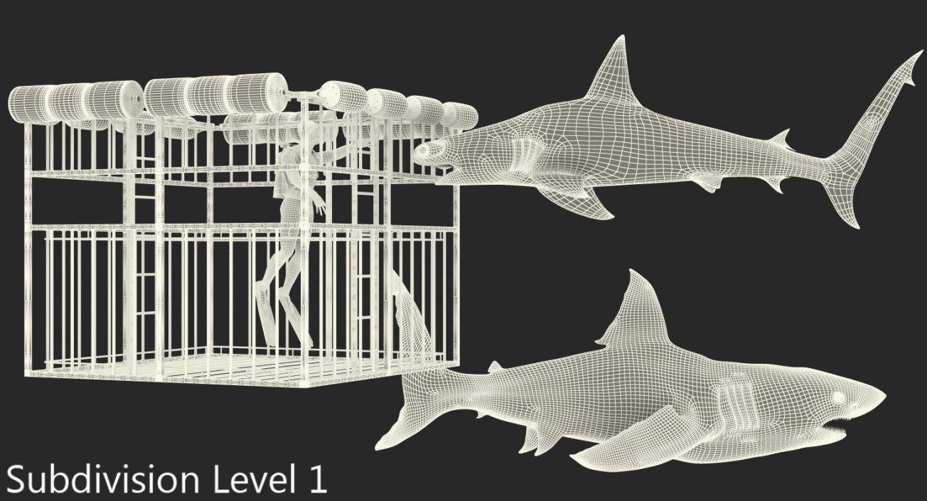 Shark Cage Diving Rigged 3D model