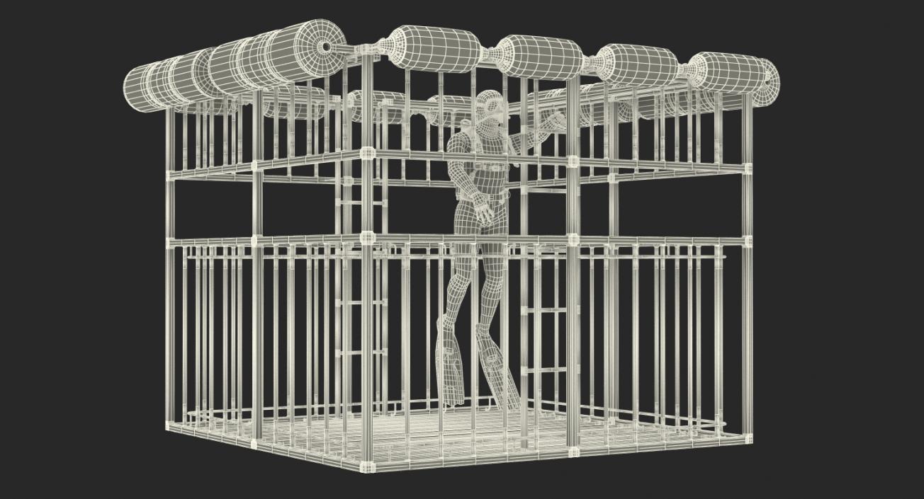 Shark Cage Diving Rigged 3D model