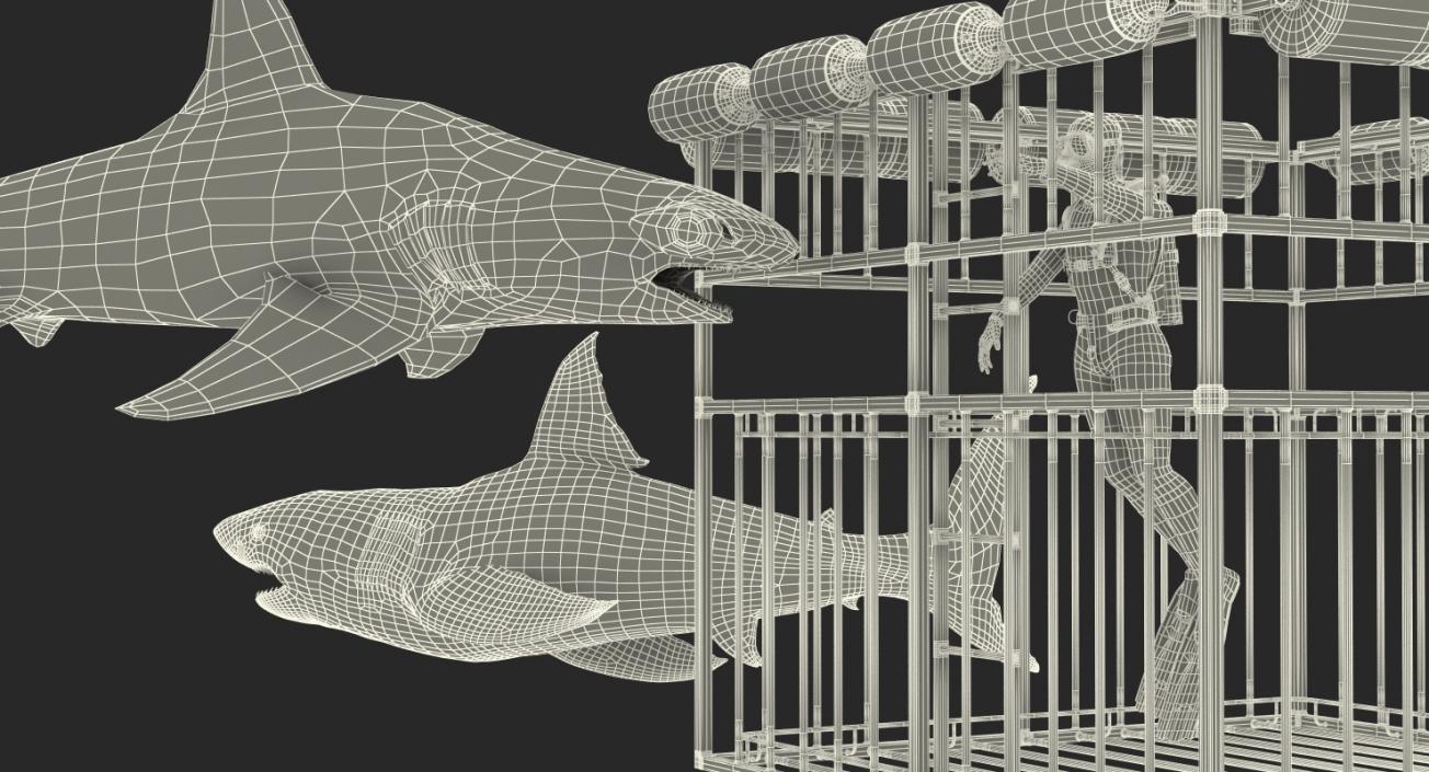 Shark Cage Diving Rigged 3D model