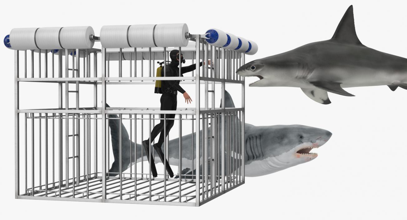 Shark Cage Diving Rigged 3D model