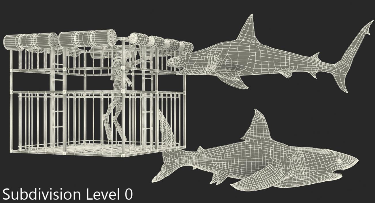 Shark Cage Diving Rigged 3D model