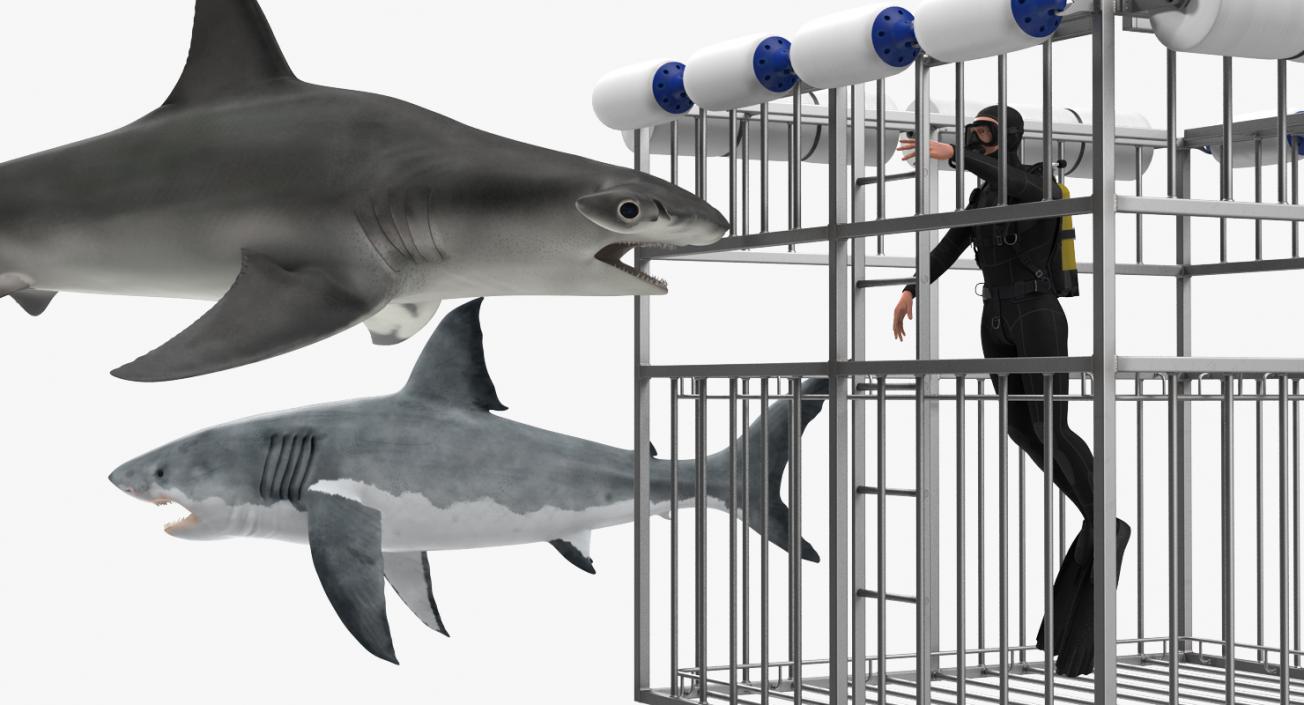 Shark Cage Diving Rigged 3D model