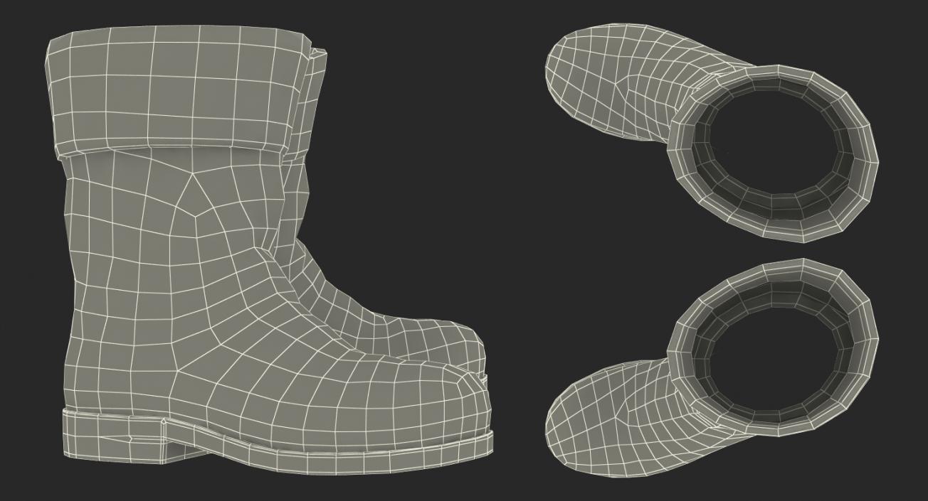 Old Leather Boots 3D