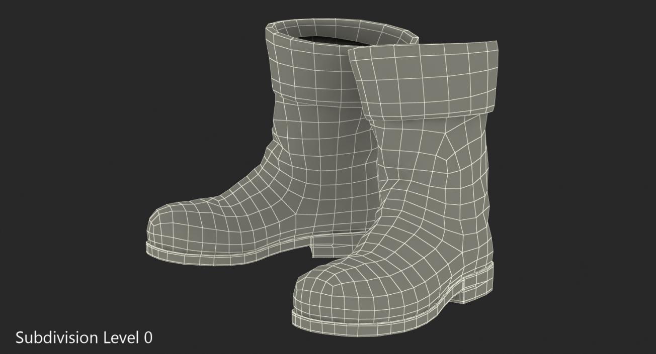 Old Leather Boots 3D