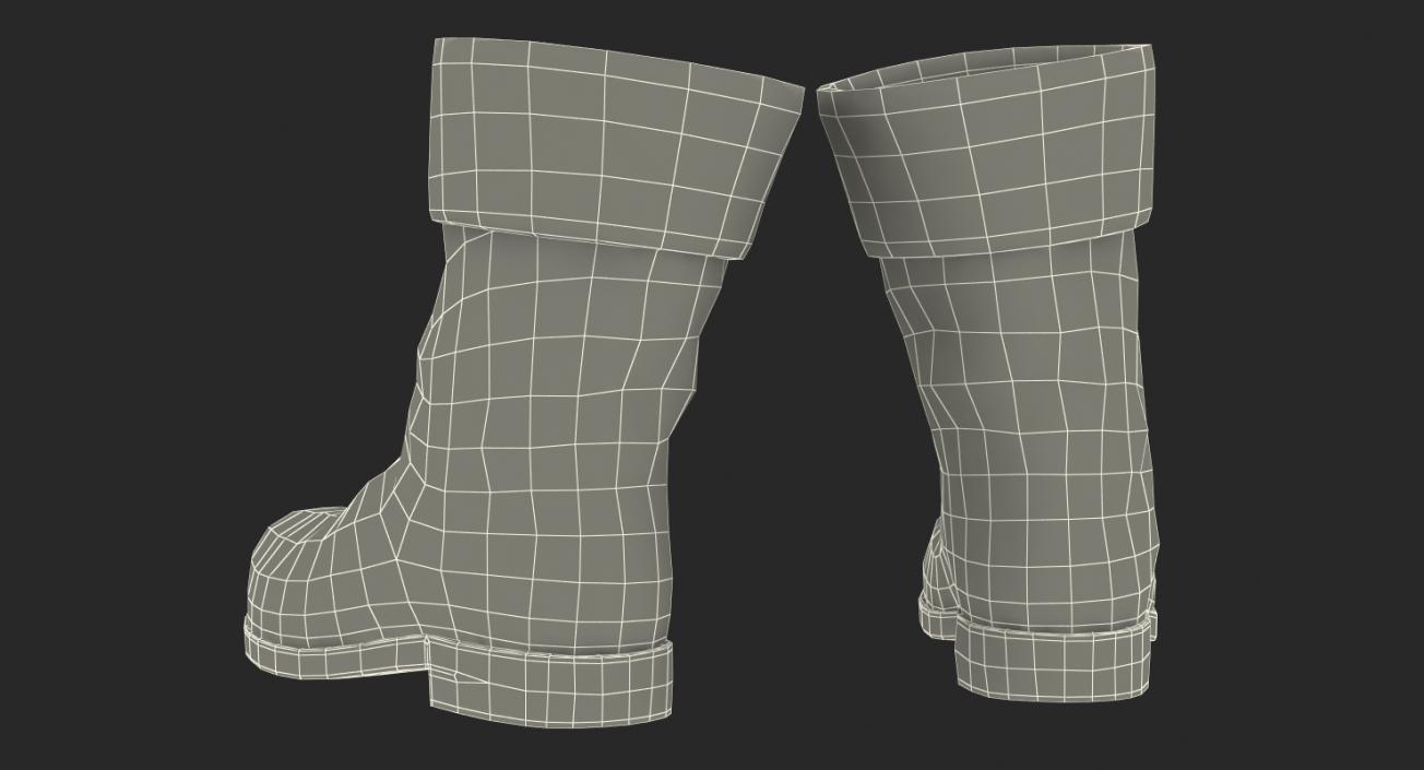 Old Leather Boots 3D