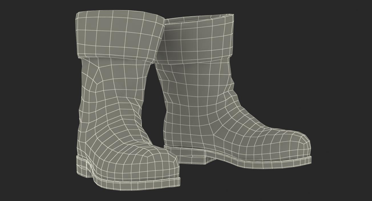 Old Leather Boots 3D