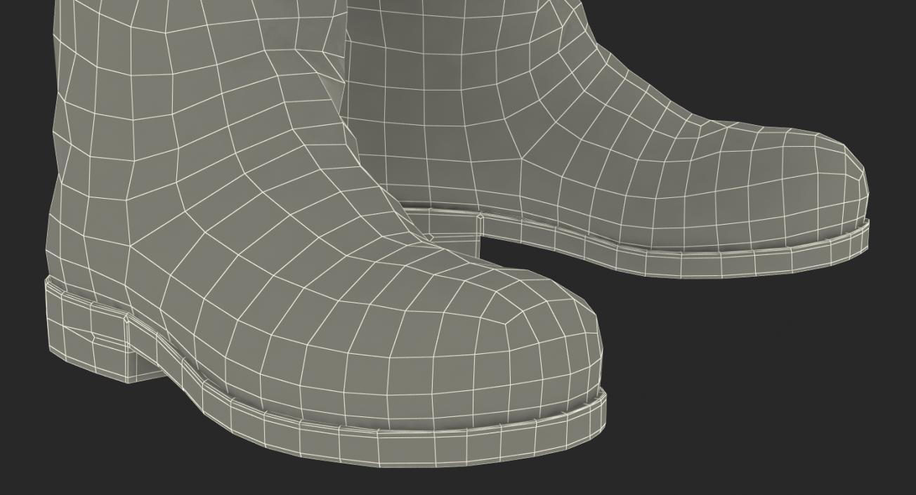 Old Leather Boots 3D