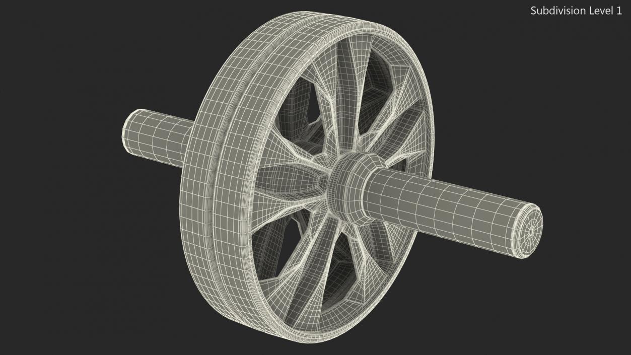 Abdominal Roller Wheel 3D