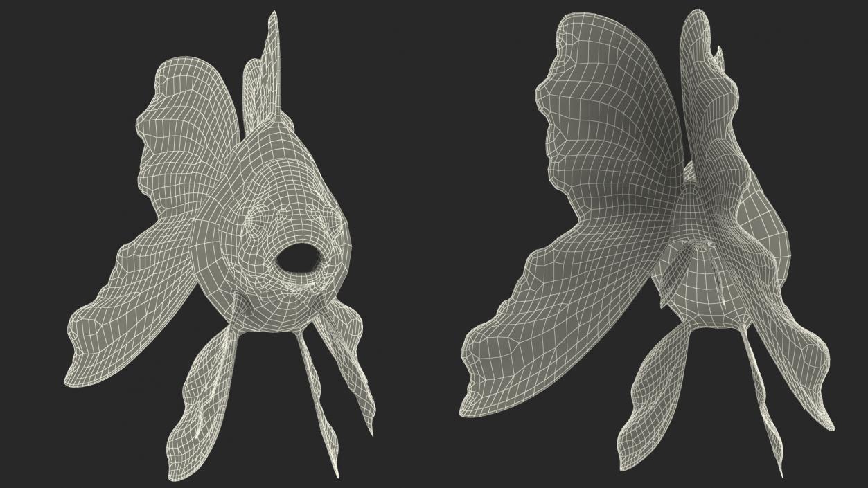 3D model Goldfish