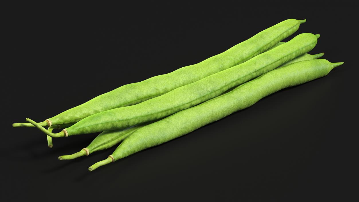 3D Green French Beans model