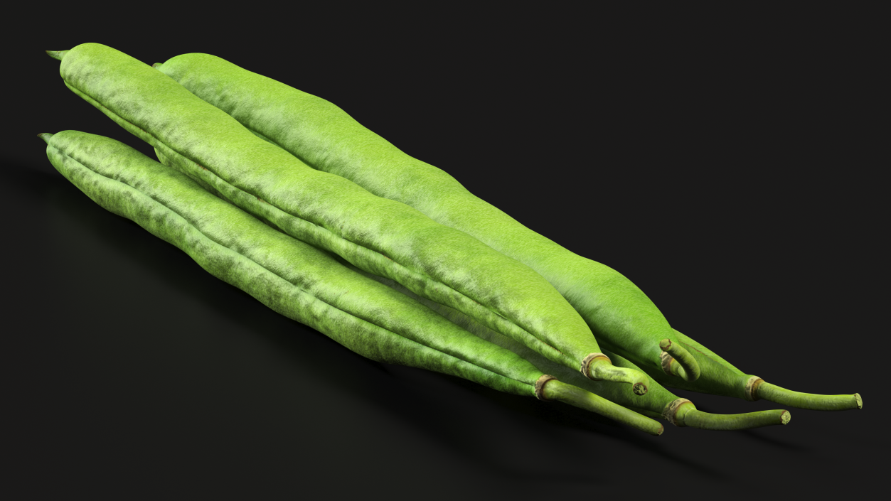 3D Green French Beans model