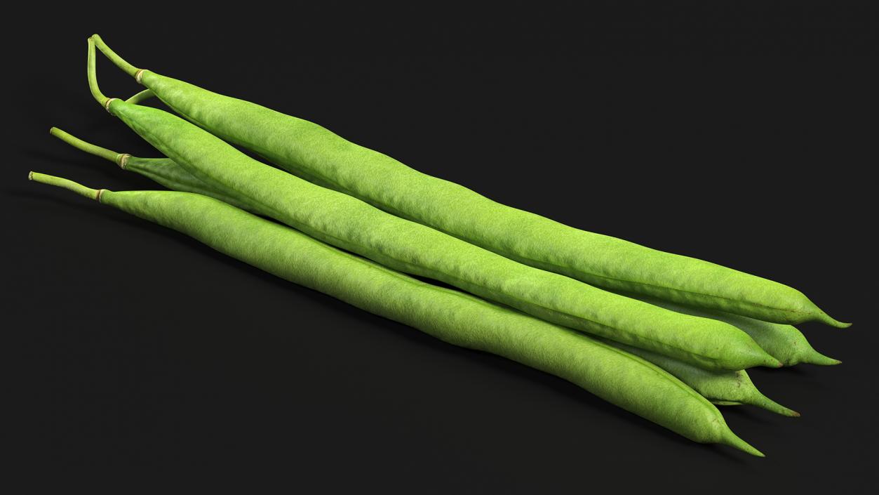 3D Green French Beans model