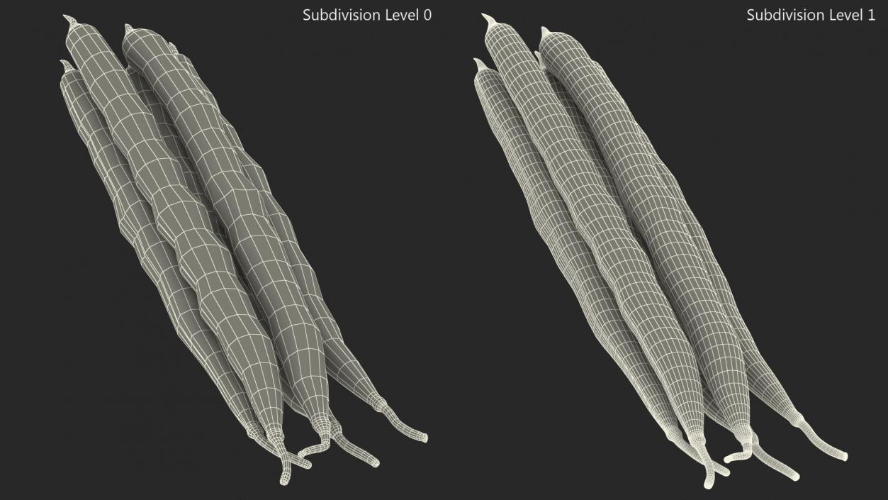 3D Green French Beans model