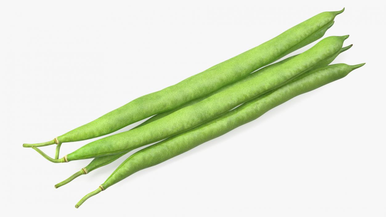 3D Green French Beans model