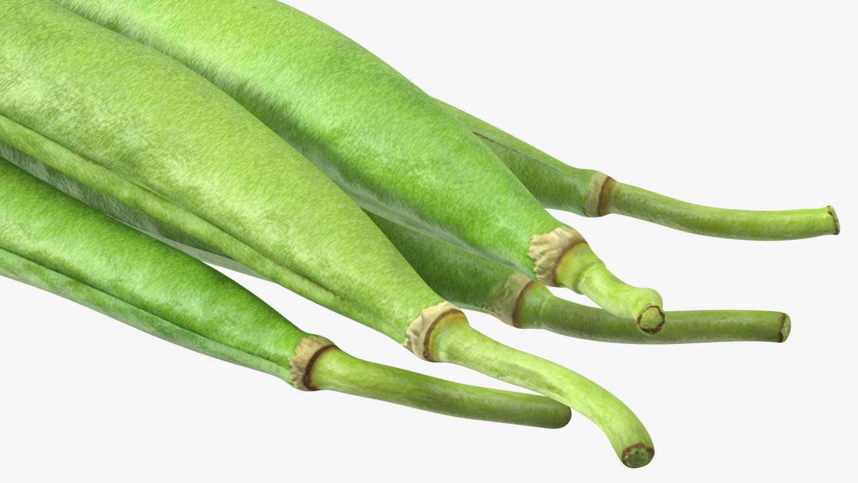 3D Green French Beans model