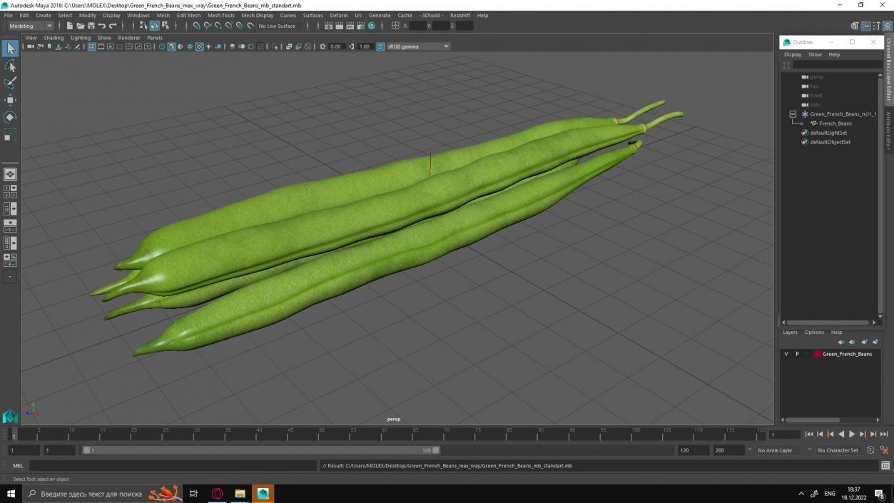 3D Green French Beans model