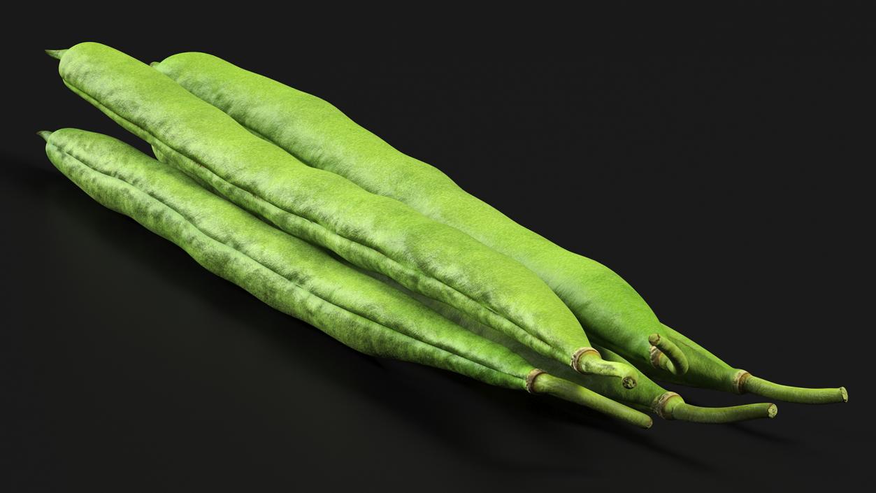 3D Green French Beans model