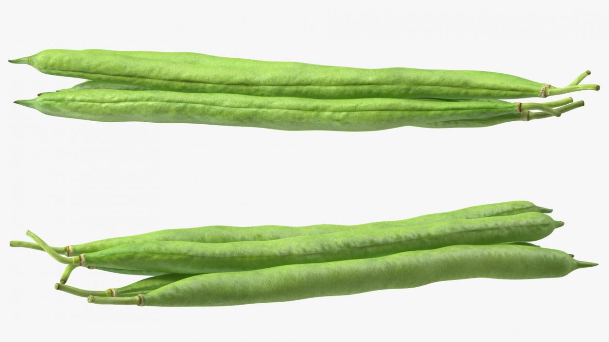 3D Green French Beans model