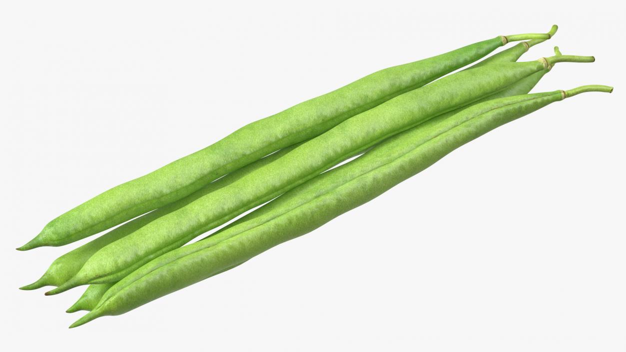 3D Green French Beans model