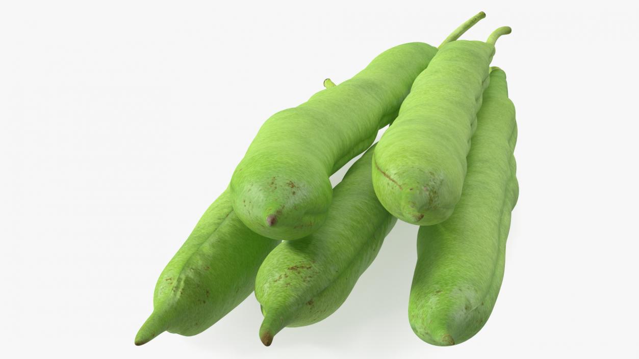 3D Green French Beans model