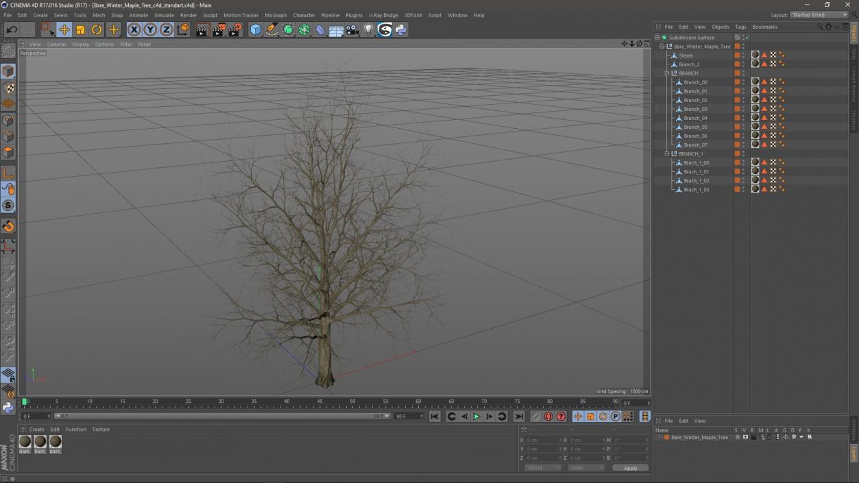 Bare Winter Maple Tree 3D