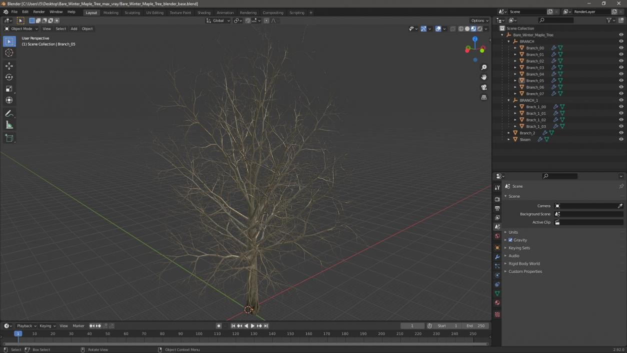 Bare Winter Maple Tree 3D