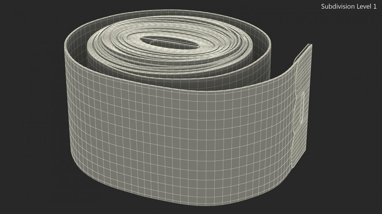 Rolled Orange Tailoring Meter 3D model