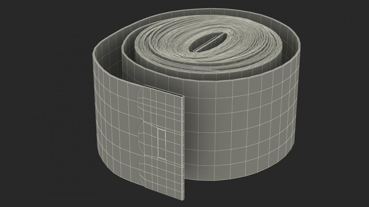 Rolled Orange Tailoring Meter 3D model