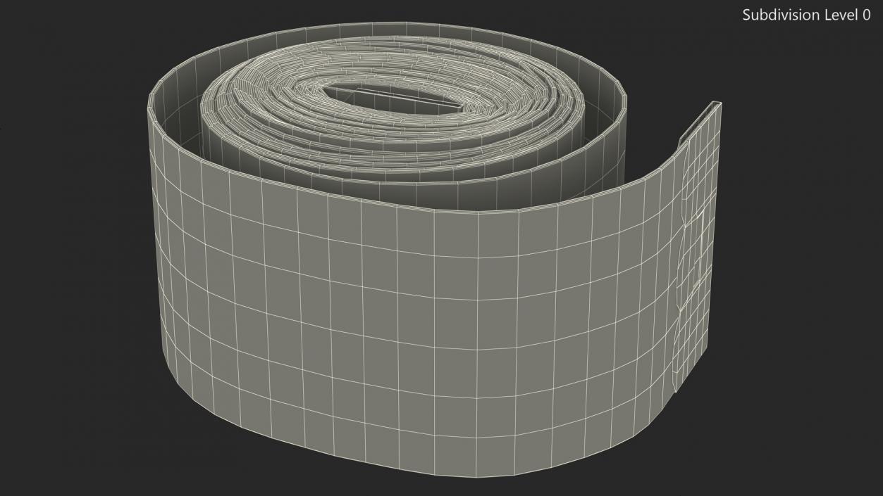 Rolled Orange Tailoring Meter 3D model