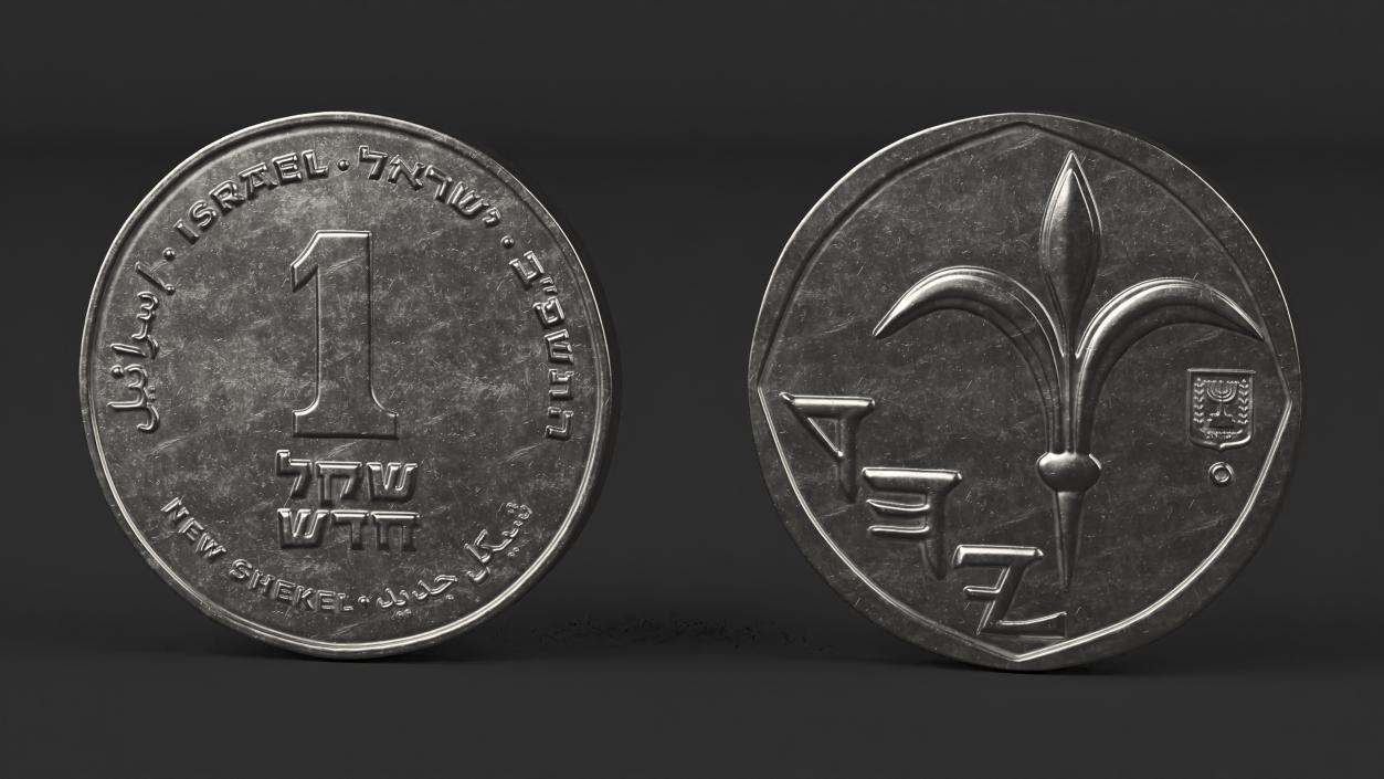 3D Shekel Coins Collection model