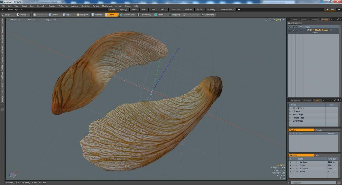 3D model Dry Maple Seeds