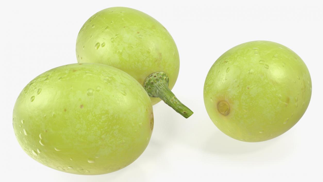 Green Grapes 3D