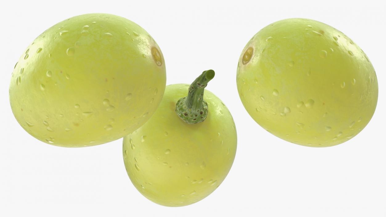 Green Grapes 3D