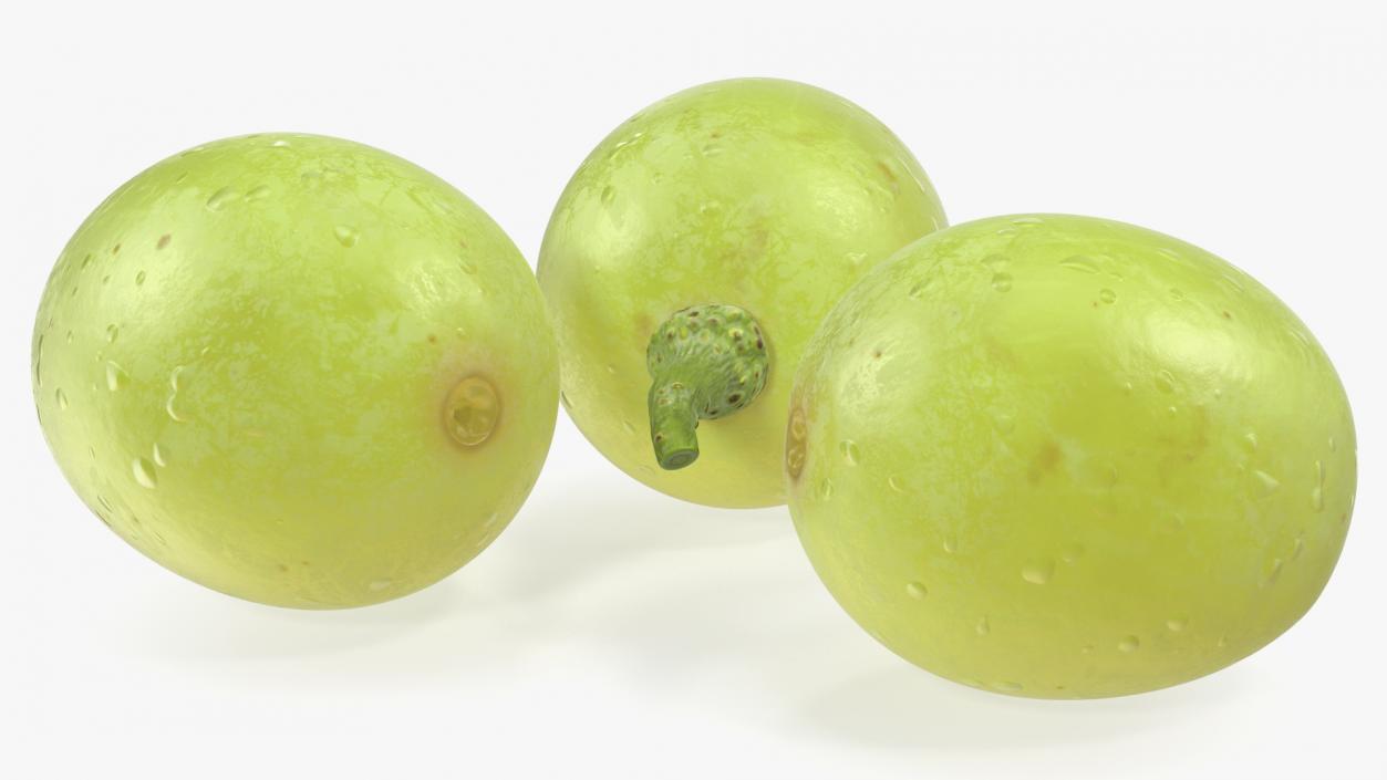 Green Grapes 3D