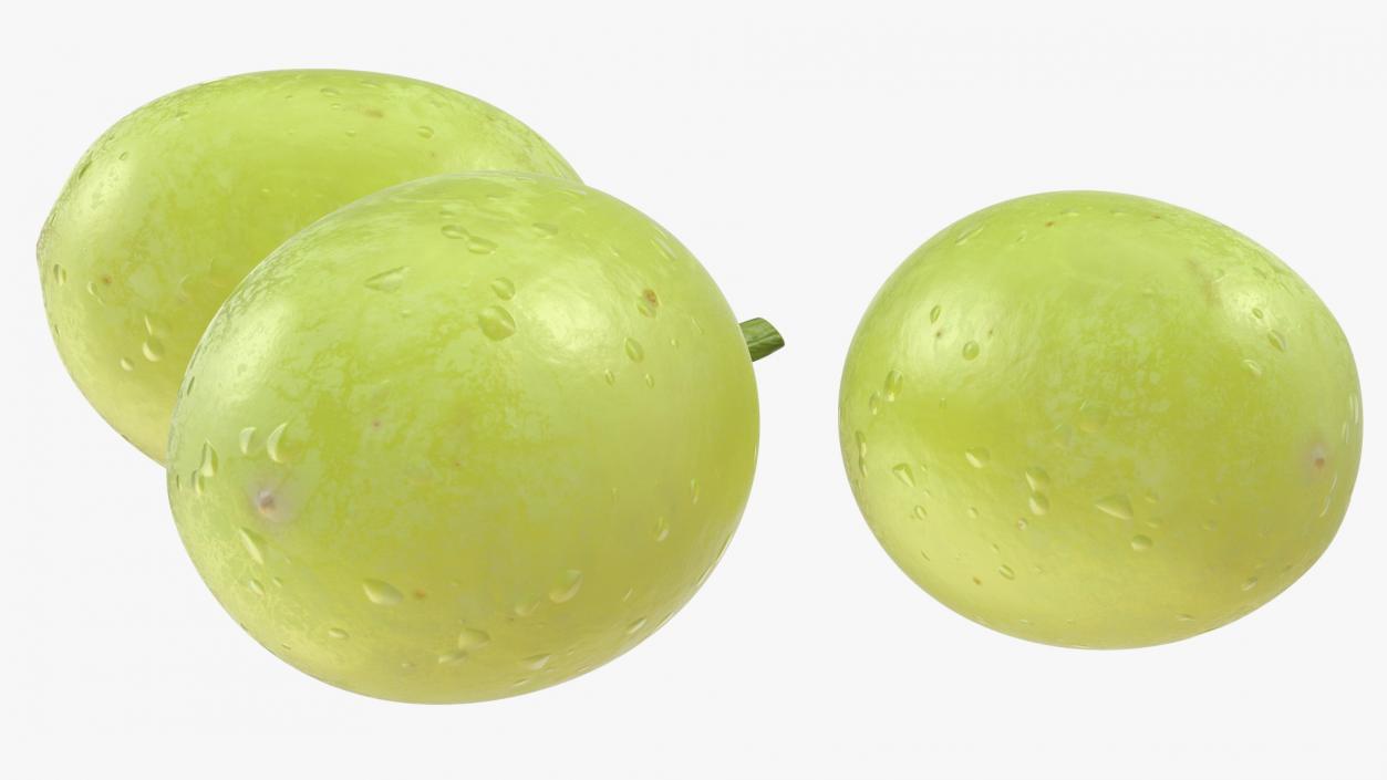 Green Grapes 3D