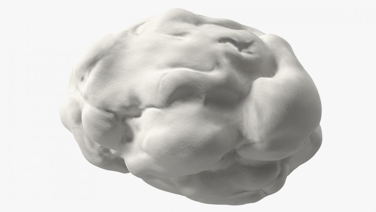 3D Chewed Bubble Gum White model