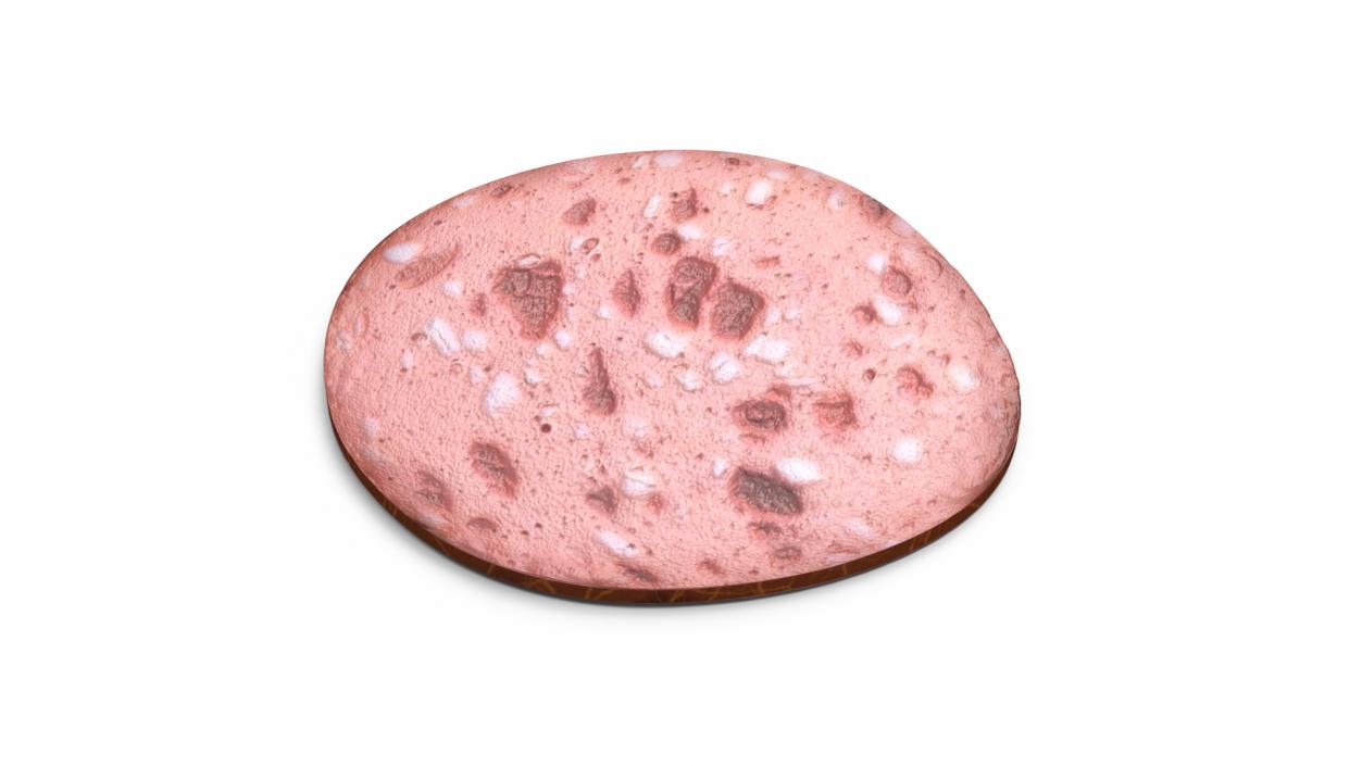 3D Slice Veal Sausage model