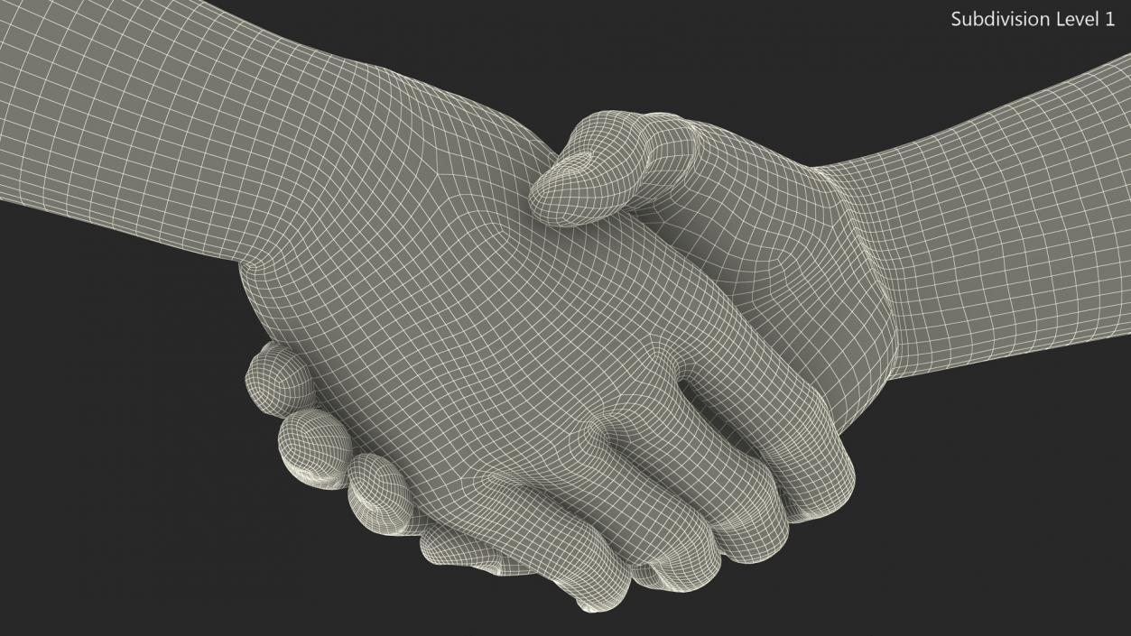 3D Handshake Man Hands with Fur model