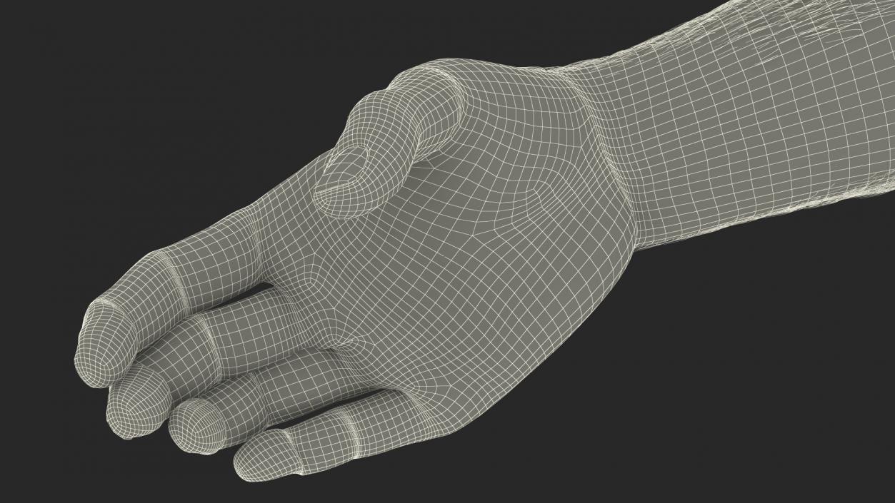 3D Handshake Man Hands with Fur model