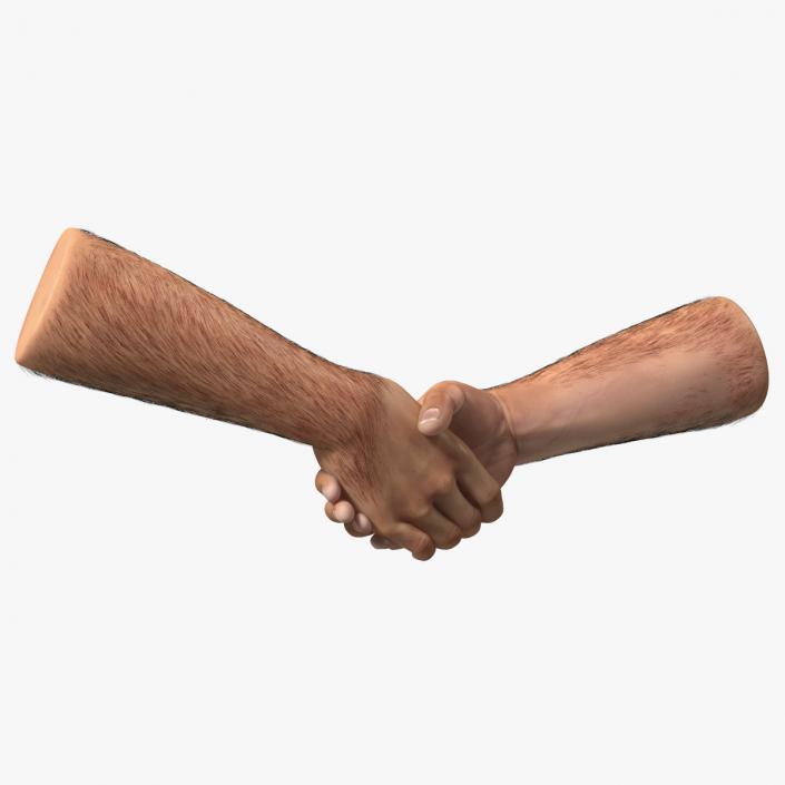 3D Handshake Man Hands with Fur model