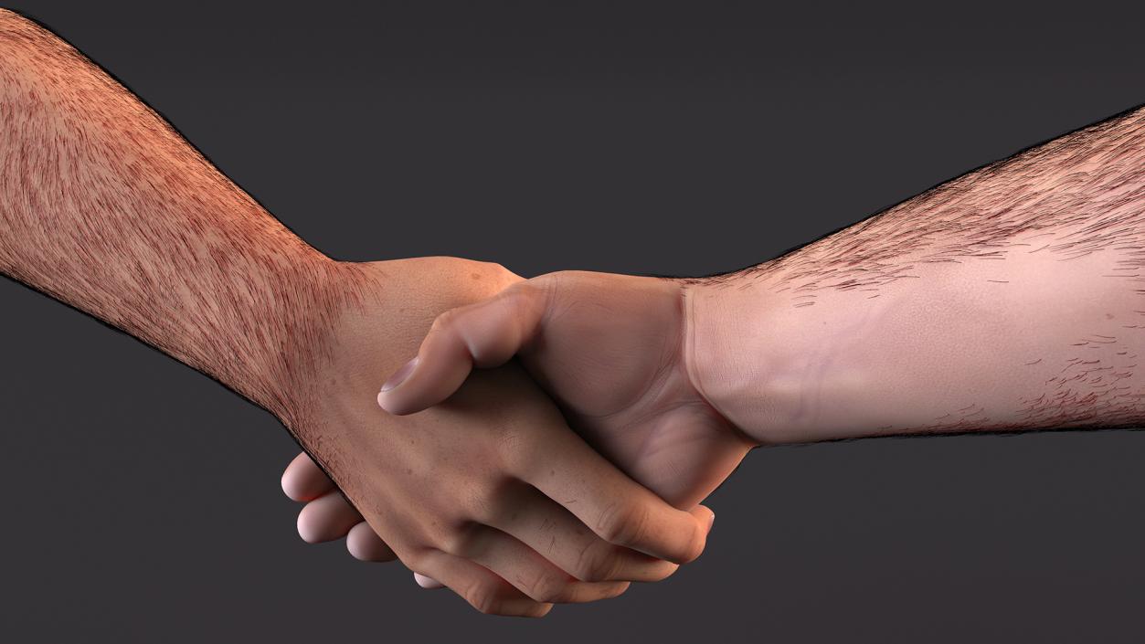 3D Handshake Man Hands with Fur model