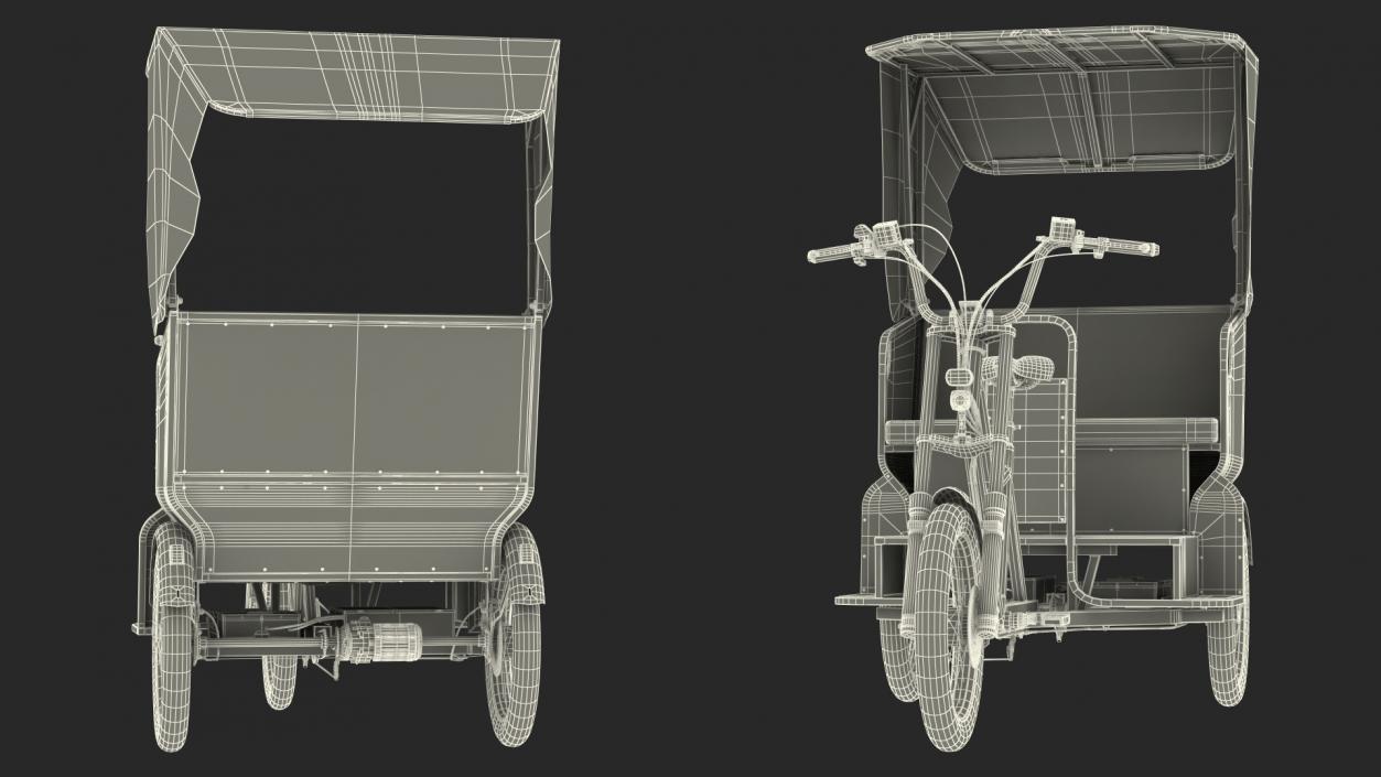 3D model Rad Power Bike RadBurro with Passenger Seat Rigged