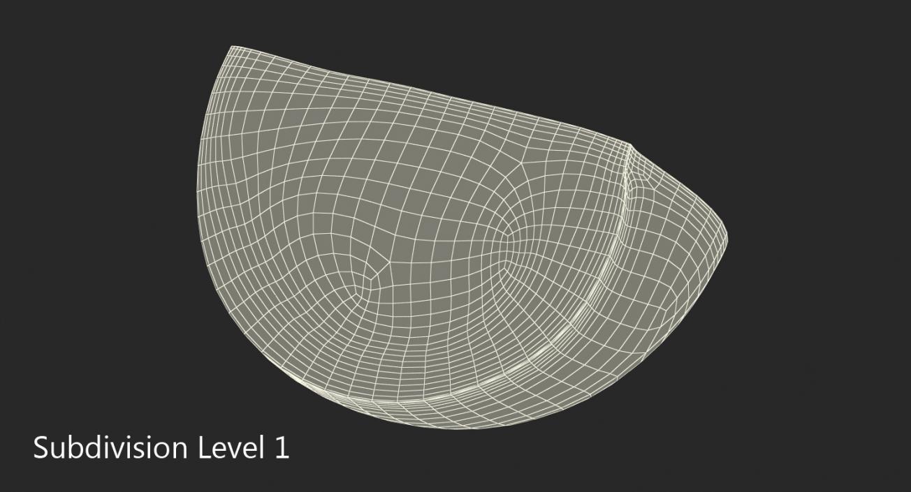 3D Quarter of Green Tomato model