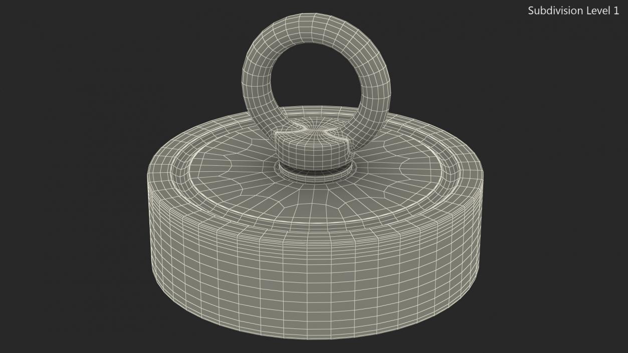 3D model Recovery Magnet