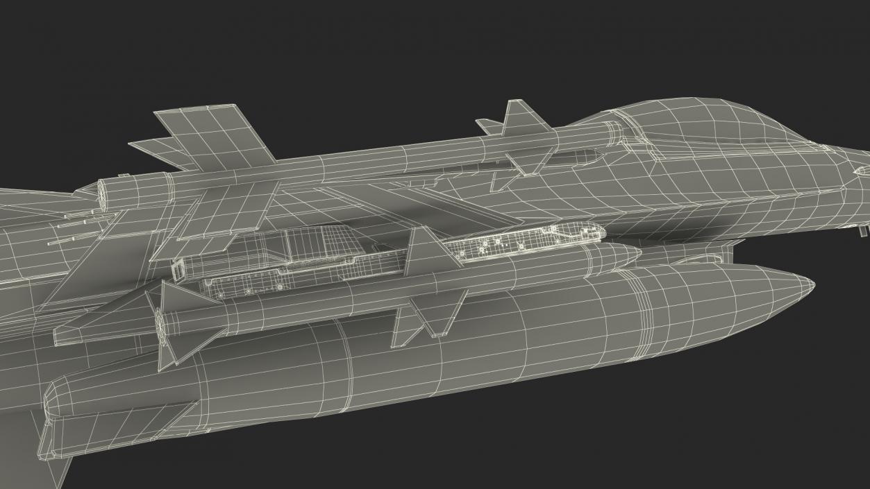 Fighter F-16 with Missile Launcher LAU-129 Rigged 3D model