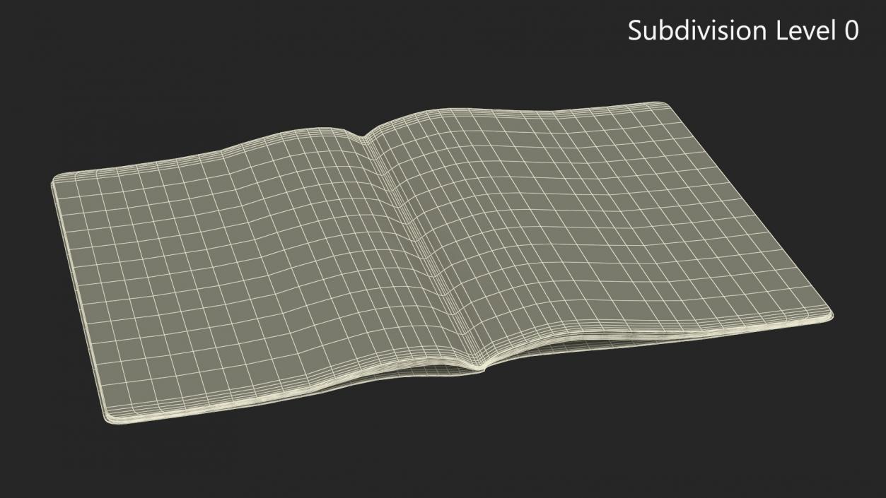 3D model Passport of US with Travel Stamps 2